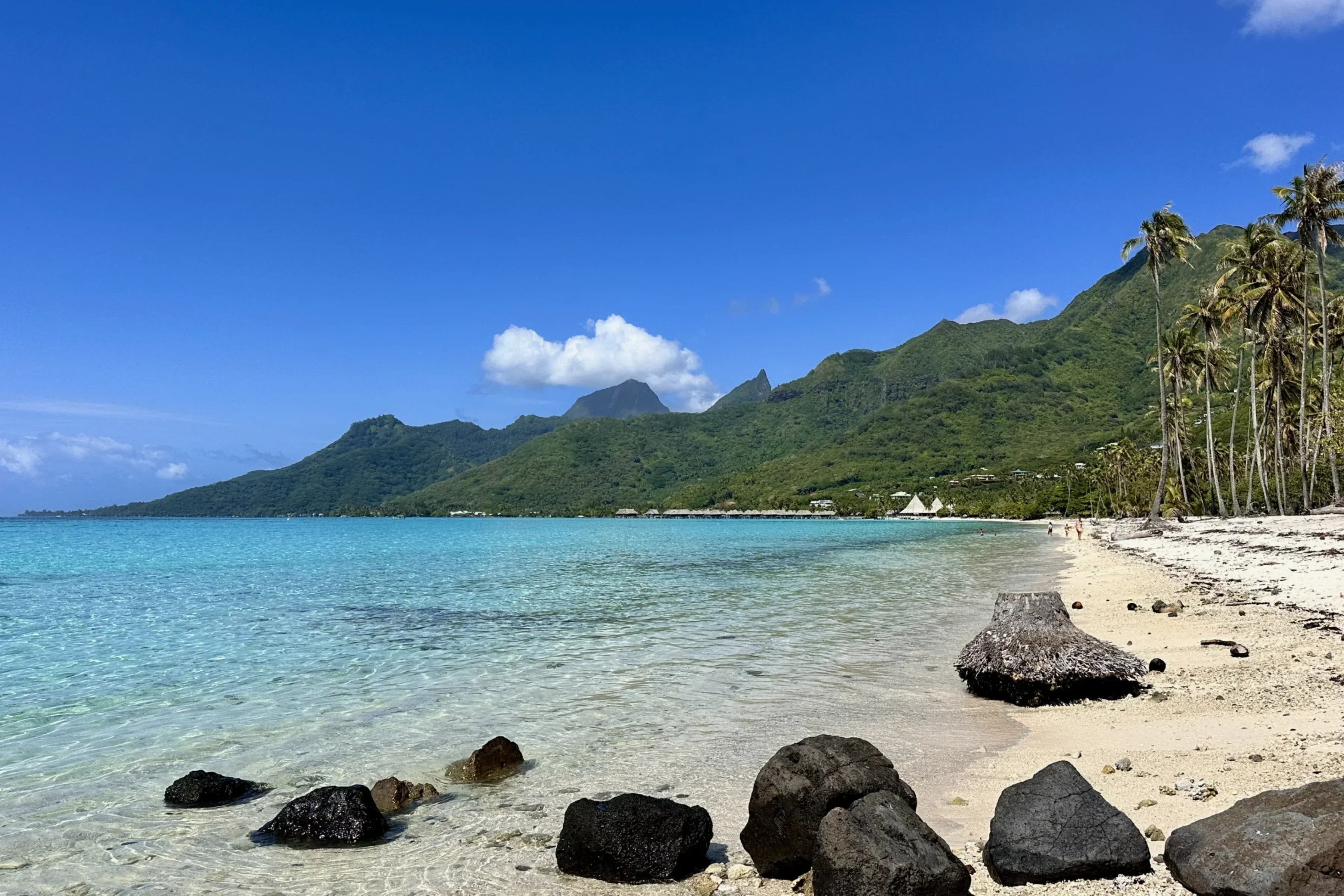 Strand von Temae auf Moorea mit schwarzen Lavasteinen, türkisblauem Meer und grüner Bergkulisse.