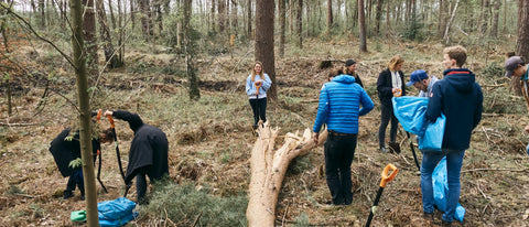 MYMARINI Wald