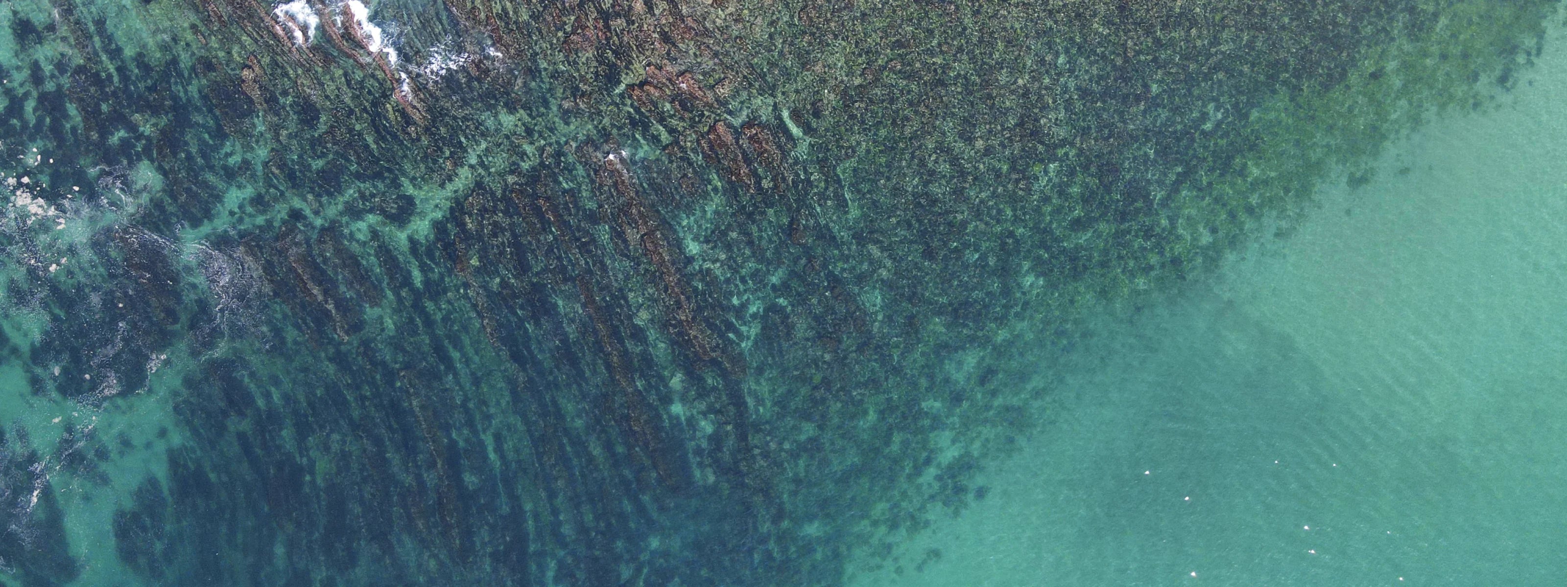 Luftaufnahme von grüner Küstenlinie und klarem Wasser, zeigt natürliche Schönheit und Ruhe.