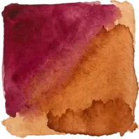 Two-tone color swatch of the COLOR STORIES maroon-hortensia palette in magenta and rust