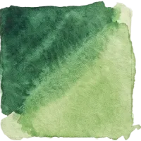 Two-tone color swatch of the COLOR STORIES pine-basil palette in dark green and light green