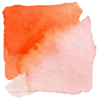 Two-tone color swatch of the COLOR STORIES poppy-macaron palette in orange and pink