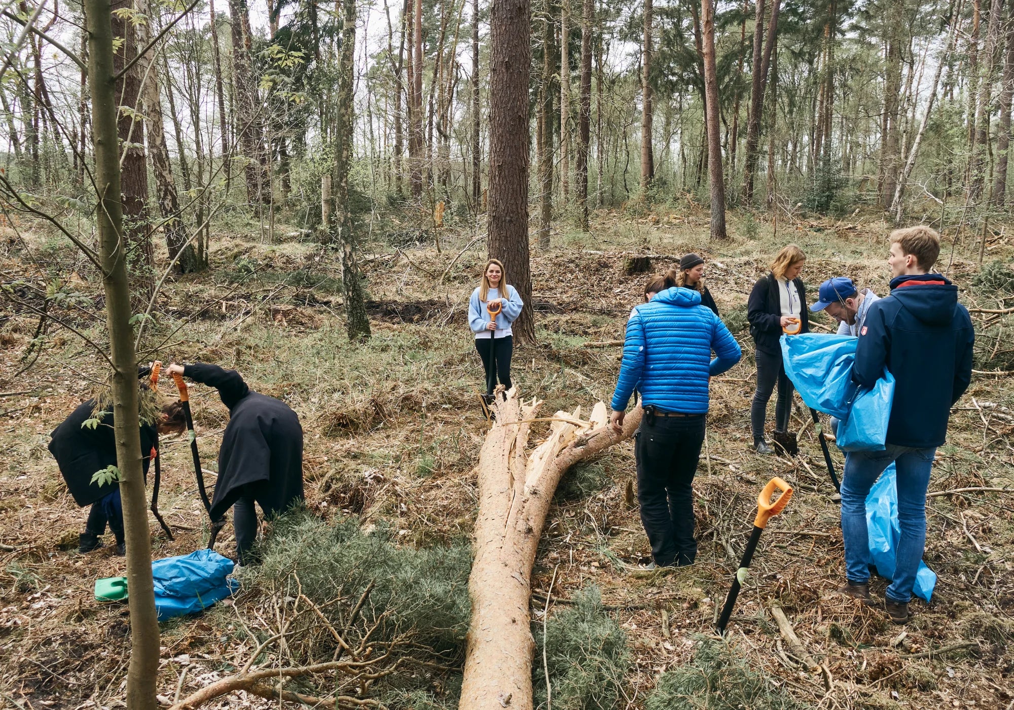 Menschen pflanzen Bäume in einem Wald. Sie tragen Freizeitkleidung und nutzen Werkzeuge.